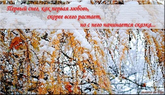 Последним днем воскресеньем ноября. Первый снег. С первым ноябрьским снегом. Добрый день ноябрь снег. Пожелания первого снега.