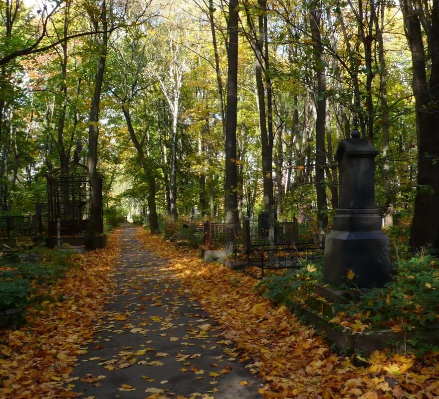 Смоленское кладбище петербург. Смоленское кладбище в санкт-петербурге. Смоленское кладбище в санкт-петербурге часовня ксении. Смоленское кладбище санкт петербург где. Смоленское кладбище в санкт-петербурге.