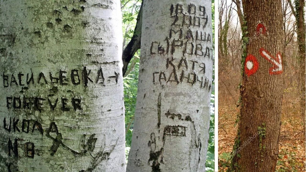 И вырезанное на ней