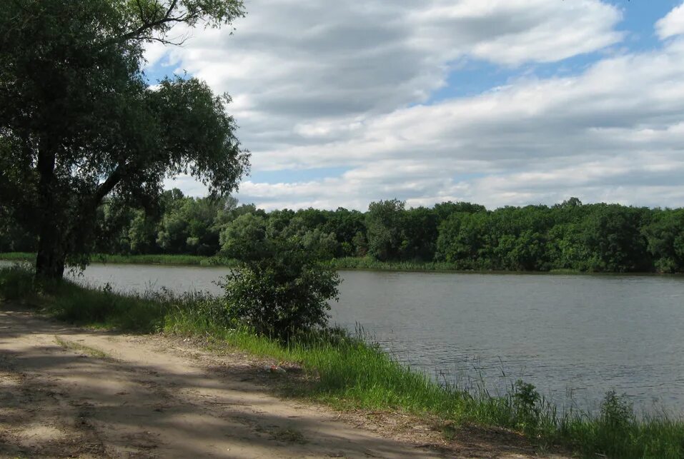 пляж донец. северский донец пляж. северский донец в балаклее. пляж донец. голубое озеро в ленинградской области донцо.