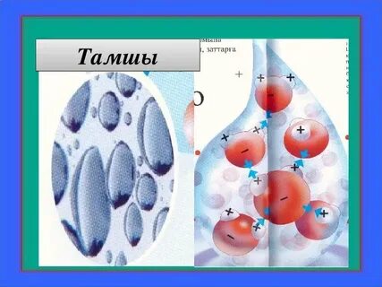 Турист ақшаға порно түсіреді.