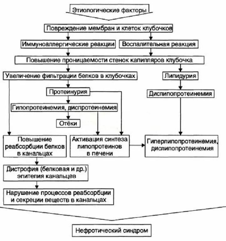 Патогенез отеков при нефротическом синдроме. Схема патогенеза повреждения клетки. Схема патогенеза нефротического отека. Схема патогенеза клинических проявлений нефротического синдрома.
