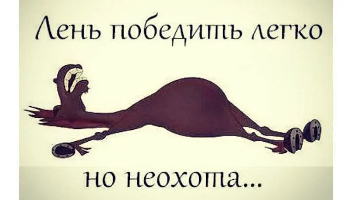 Суть лени