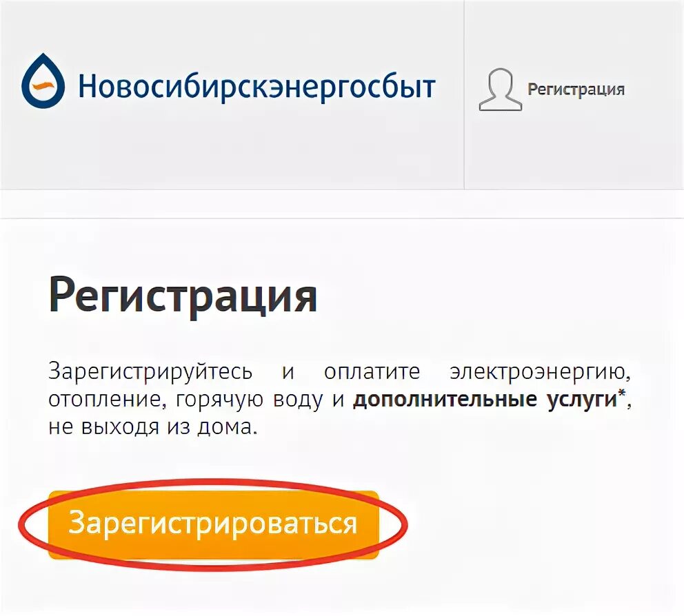 Новосибирскэнергосбыт личный. Nskes личный кабинет. Новосибирскэнергосбыт личный кабинет для физических лиц.