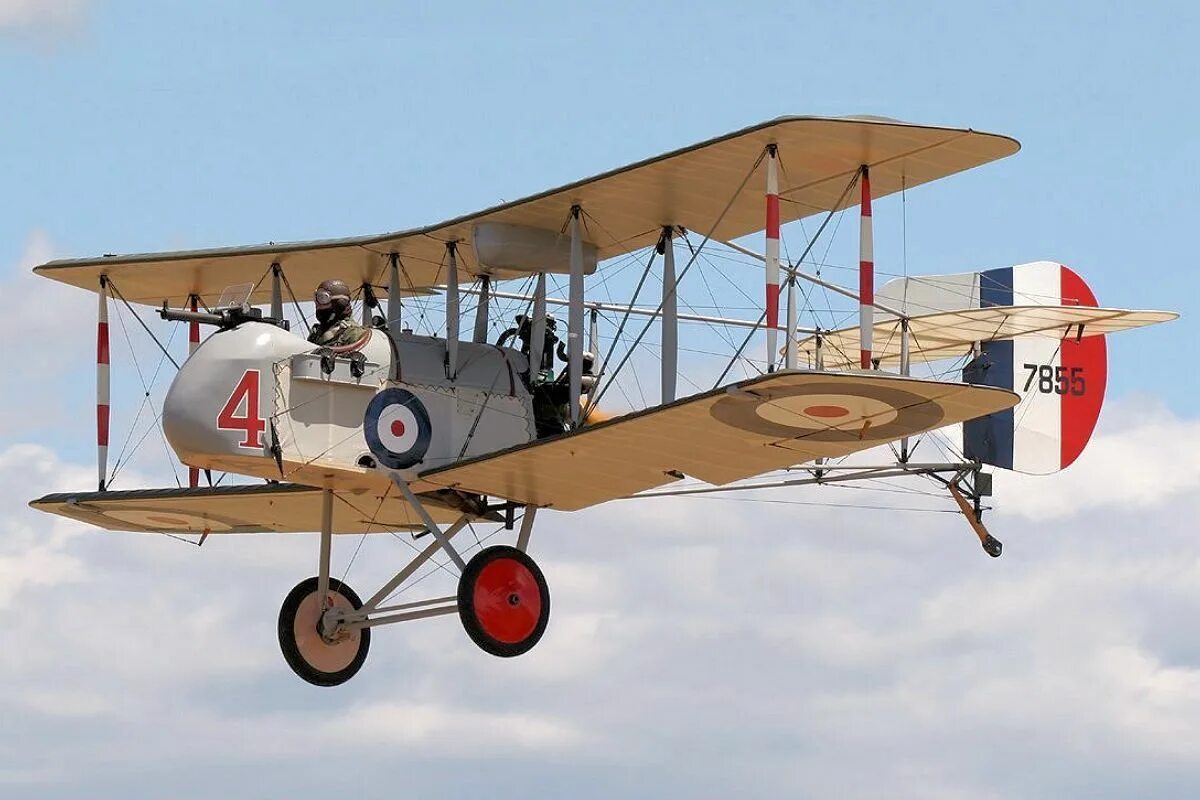 D h 5 2