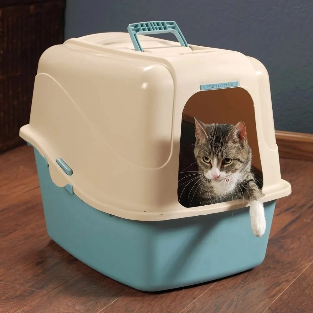 Catgenie 120. Туалет xiaomi semi-open cat litter для кошек white cn. Canada litter лоток для кошек. 5 см. Кошачий лоток с наполнителем.