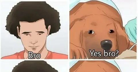 Бро ща