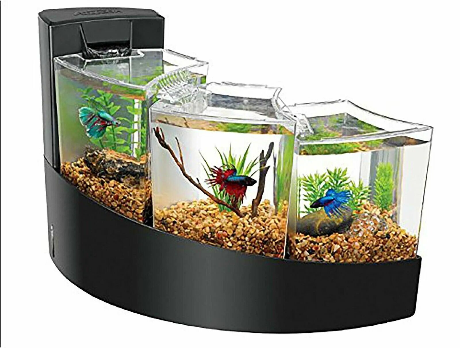 Какая вода нужна рыбкам. Аквариумы Aqueon 2 Gallon Betta Falls Aquarium Kit. Аквариум Box Betta 1.3. Аквариум Double Tank Kit. Комплект Aqueon Betta Falls.