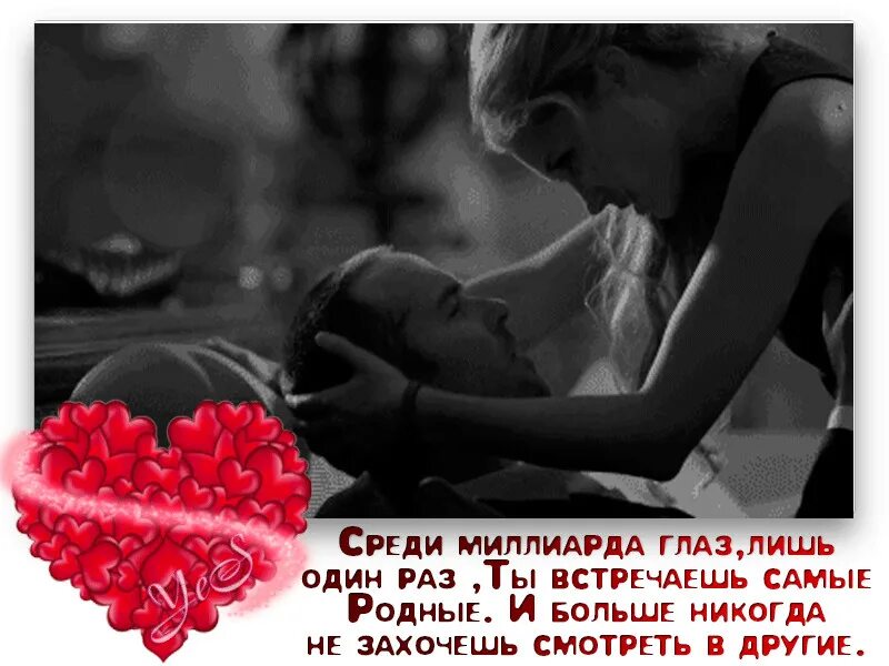 Фразы про собак. Сплошной позитив картинки. Это не любовь лишь животное желание. Фразы про собак. Это не любовь лишь животное желание.
