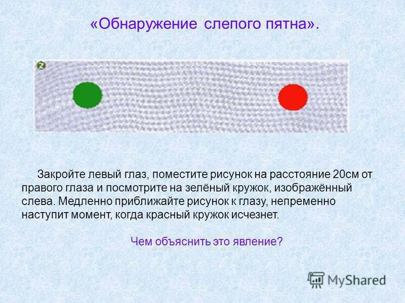 Функции слепого пятна глаза. Принцип обнаружения слепого пятна в сетчатке глаза. Объясните принцип обнаружения слепого пятна в сетчатке глаза. Обнаженте слепого пятна. Определение слепого пятна работа.