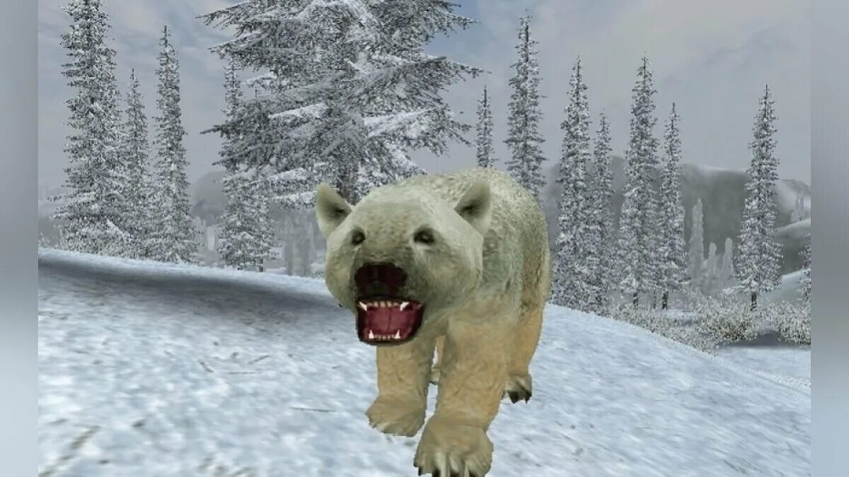 Cabela&#039;s big game hunts. Cabela&#039;s dangerous hunts 2005. cabela&#039;s dangerous hunts 2006. big game hunter 2005. cabela&#039;s big game hunter 2005.