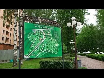 Березовая роща масленица 2024