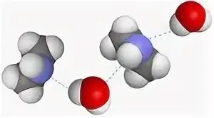 8 молекул серы. Водородная связь между молекулами Аминов. Водородные связи Аминов. Водородные связи с аминогруппами. 3d модели молекул метиламина.