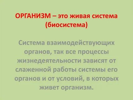 Почему живые организмы относят к открытым биосистемам