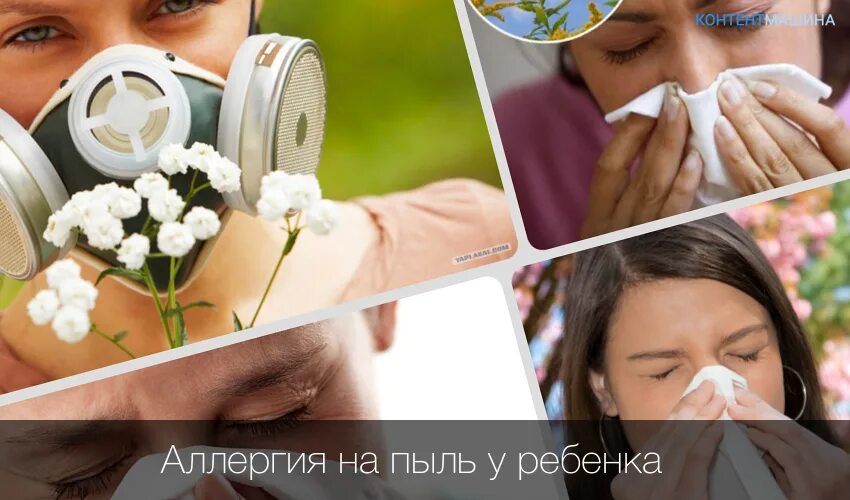 Как выглядит аллергия на пыль Причиной неожиданно возникшей аллергической реакции могут быть как раз домашние
