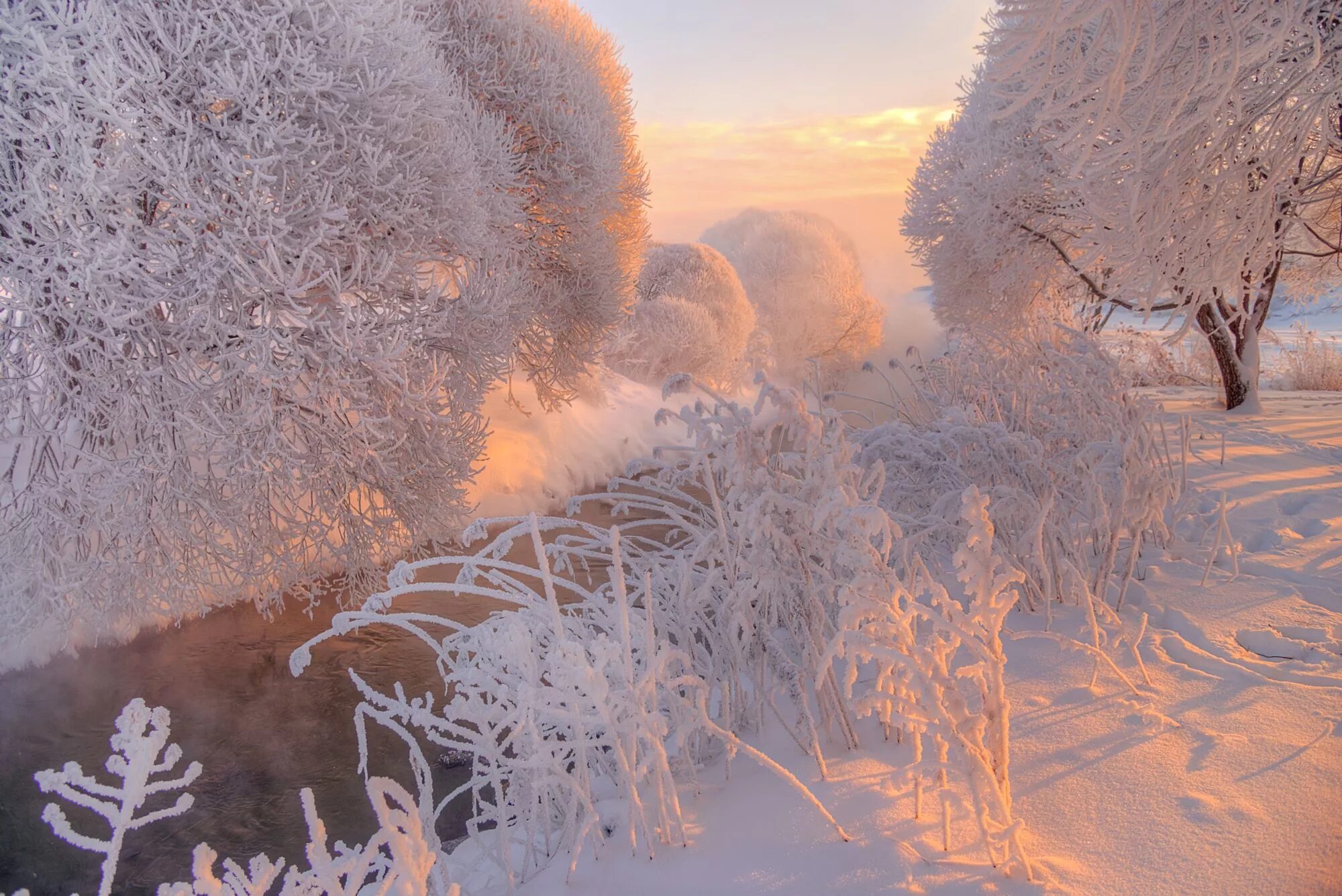 Снежное утро красивые. Зимняя природа. Морозный пейзаж. Морозная зима. Морозное утро в лесу.