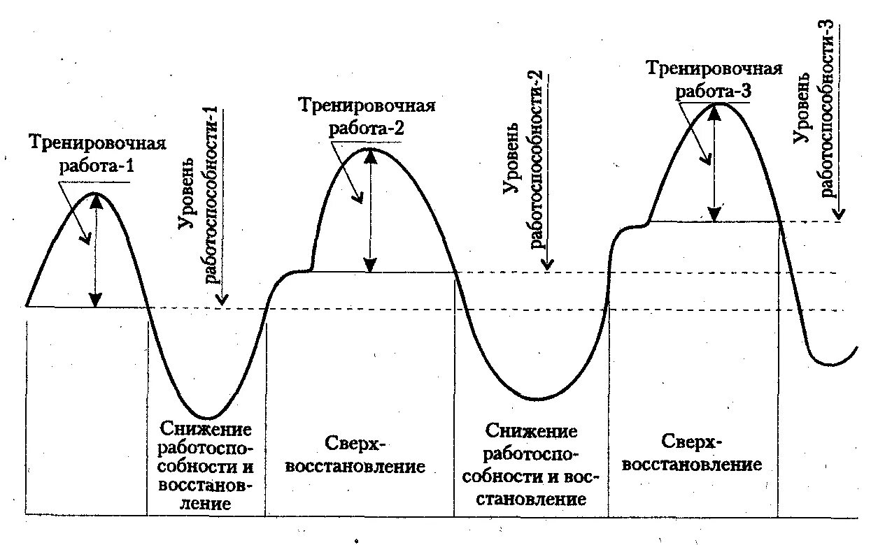 Через сколько восстанавливается цикл. Схема циклов тренировок в спорте. график восстановления работоспособности. цикличность тренировочного процесса. планирование тренировочного процесса.
