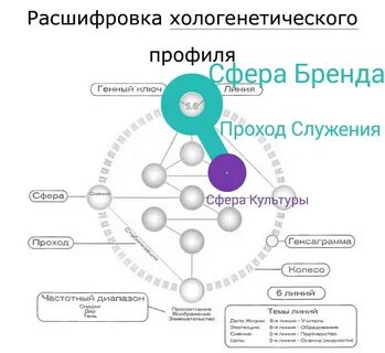 Генный ключ дизайн