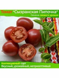 Томат пипочка