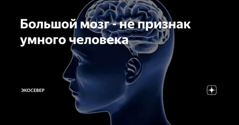 Признаки мудрого