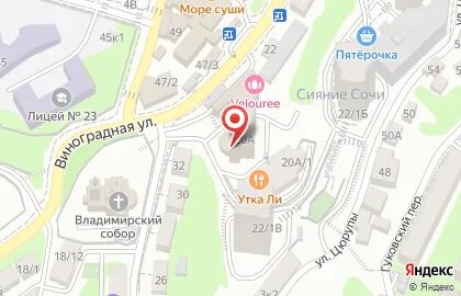 Твинтел сочи