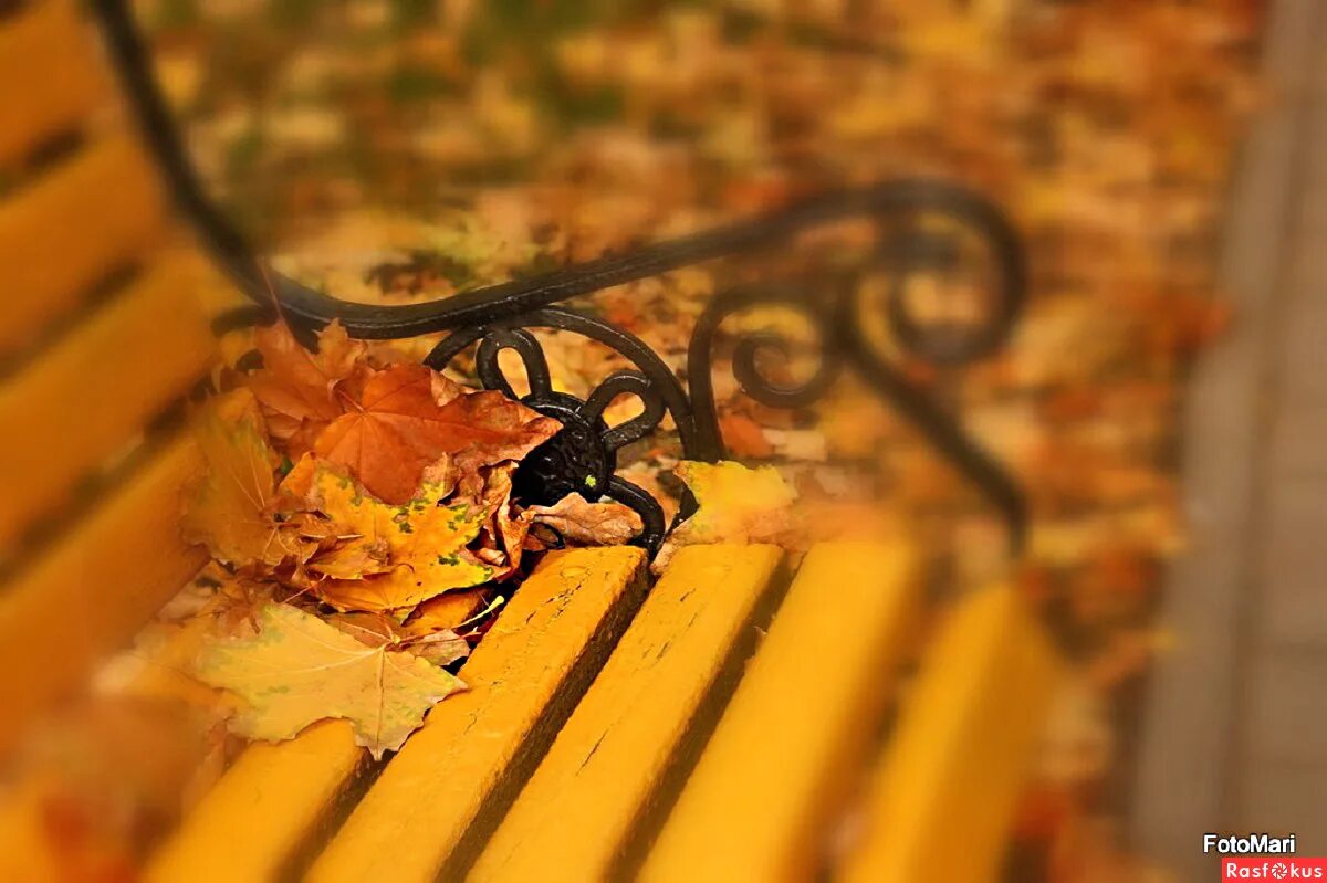 Грустные песни осени. Скоро осень. Фото профессиональных фотографов осень. Картинки Господа осень.