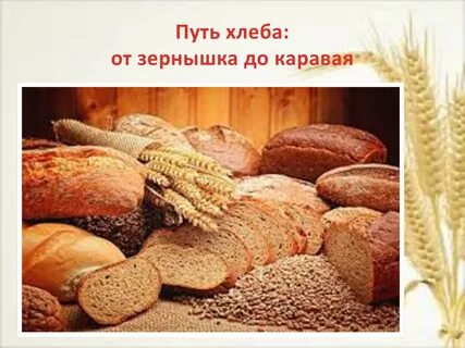 Путь хлеба