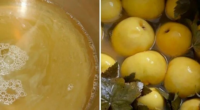 Как правильно варить яблоки. Моченые яблоки особенно вкусны с топленым молоком. мочение яблок в овсяной соломе. моченые яблоки разрезанный. моченые яблоки цвет внутри.