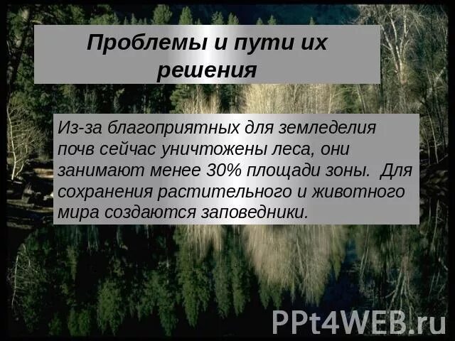 Основная причина экологических проблем в тайге. Проблемы леса и пути их решения. Проблемы и пути решения в тайге. Проблемы и их пути решения тайги. Проблемы смешанных и широколиственных лесов.