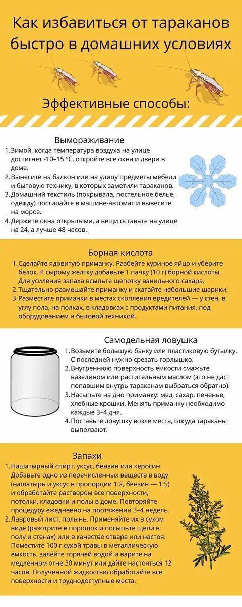 Как быстро и эффективно вывести тараканов. Как быстро избавиться от тараканов. средство от выведения тараканов. эффективные способы борьбы с тараканами в квартире. как избавиться от тараканов в домашних условиях быстро и эффективно.