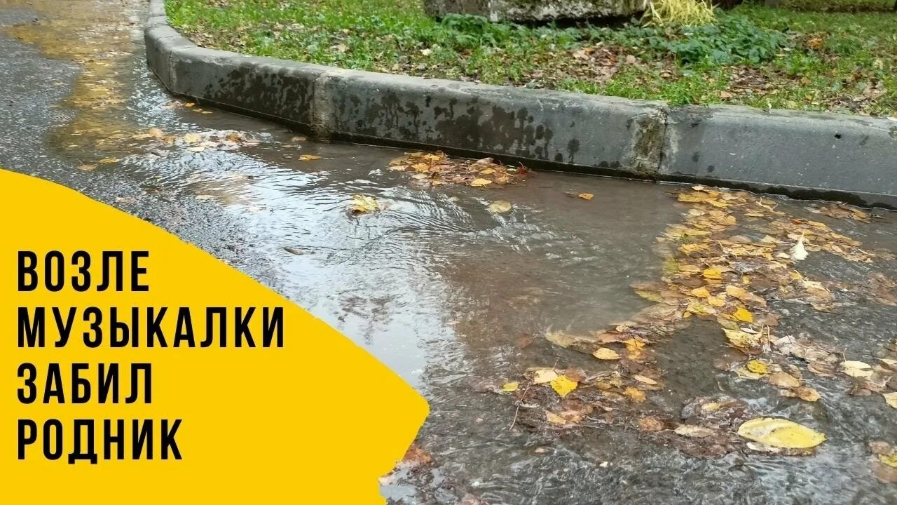 Омонимы. Скажи родник и вот возник бежит в зелёной чаще весёлый ключ журчащий. Stihi s omonimami. Скажи родник и вот. Скажи родник и вот возник бежит в зелёной чаще весёлый ключ.