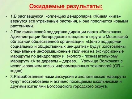 Окружающая среда проекта это