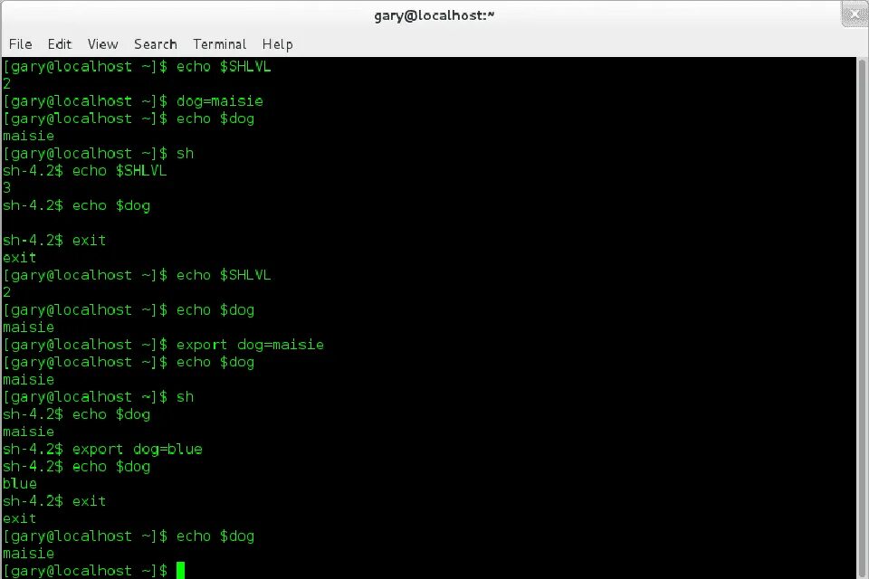 Создание bash скрипта. Echo linux. linux shell. shell linux bash. linux скрипт бесконечный цикл.