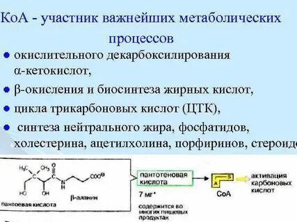 Кофермент атф
