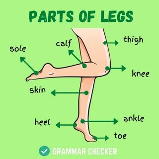 My leg перевод