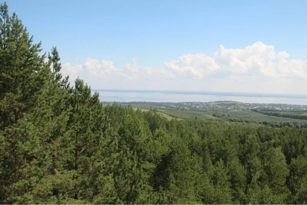 Саратов хвалынский национальный парк. Хвалынский национальный парк. Хвалынский заповедник саратовской области. Хвалынск национальный парк. Хвалынском заповеднике.