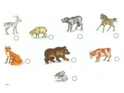 Ұйқы сөмкесінің фетиш фотосы