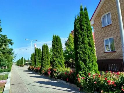Чолпон ата иссык куль отели