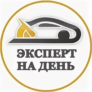 Эксперт на день