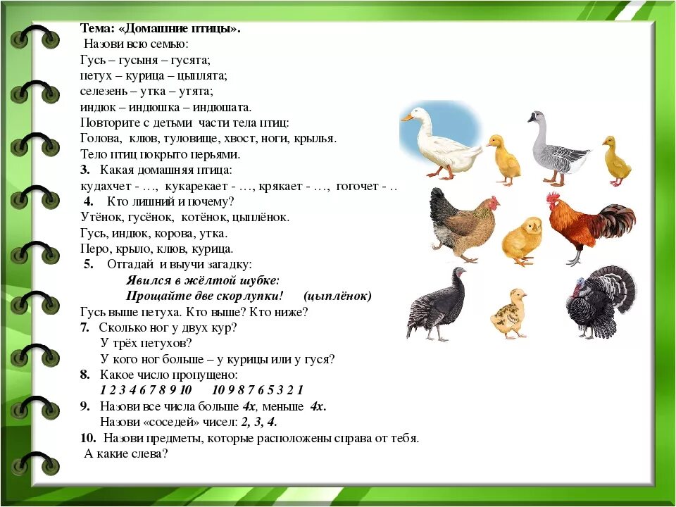 Текст про гусей. Логопедическая тема домашние птицы. Лексическая тема домашние птицы. Задания про домашних птиц. Задания по теме домашние птицы.