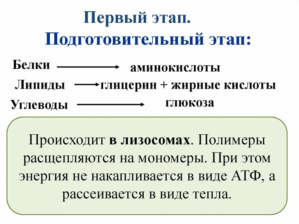 Подготовительный этап белки