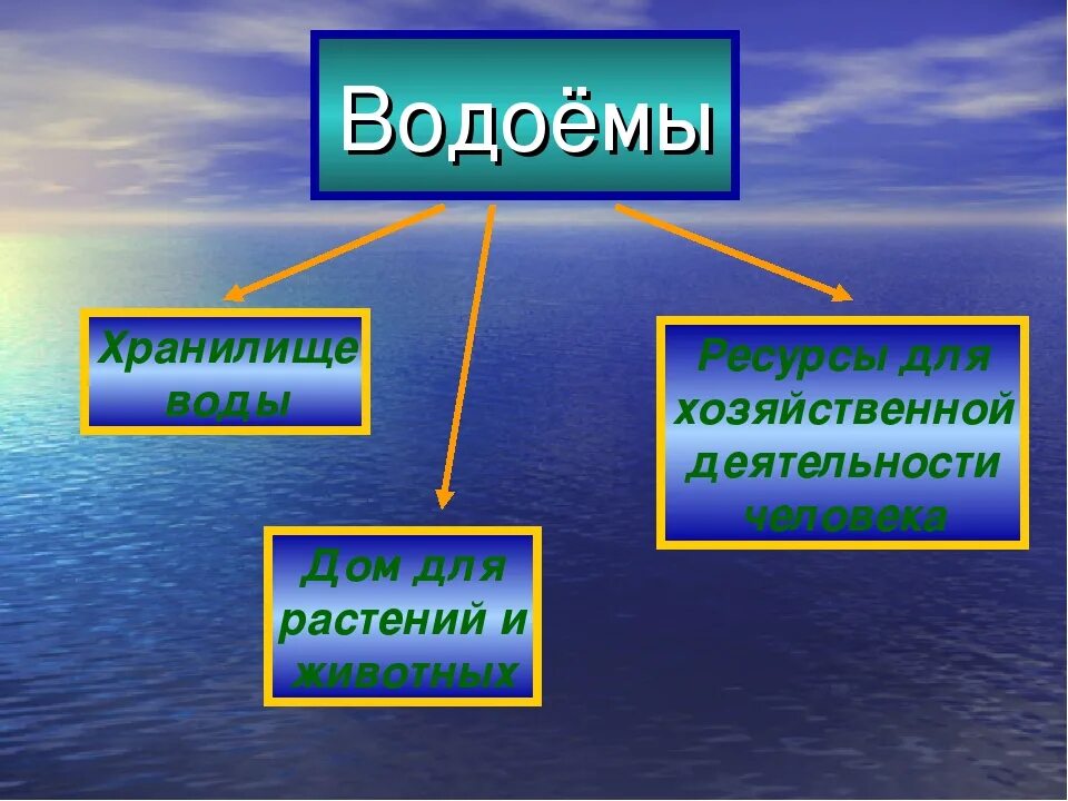 Природное сообщество водоем 3 класс окружающий. Водоемы окружающий мир. презентация на тему водоемы. водоемы окружающий мир 3 класс. водоем это 4 класс окружающий мир.