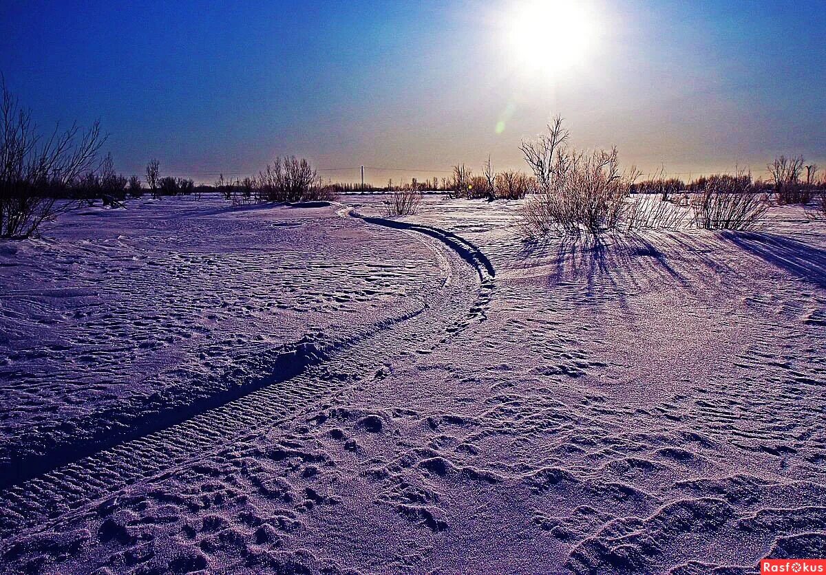 Негреющее солнце. Негреющее солнце