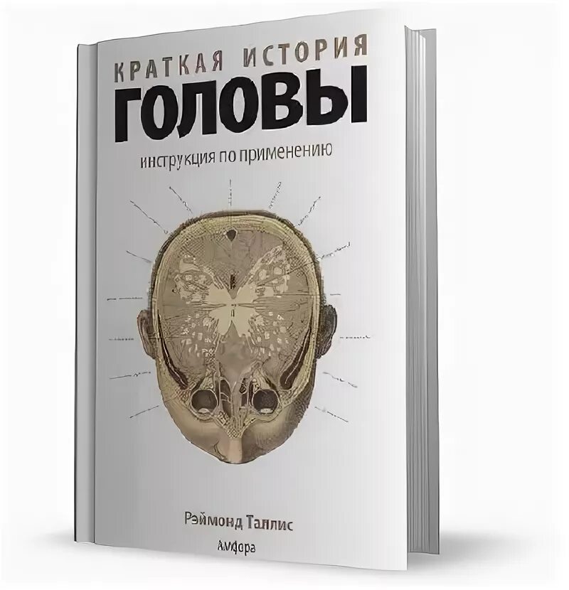 Придумывать истории в голове. Краткая история головы - Таллис Рэймонд. Рассказ про голову. Мозг инструкция по применению аудиокнига.