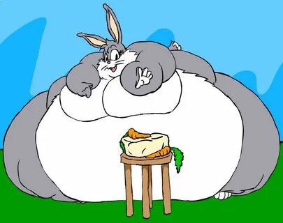 Cute fat rabbit