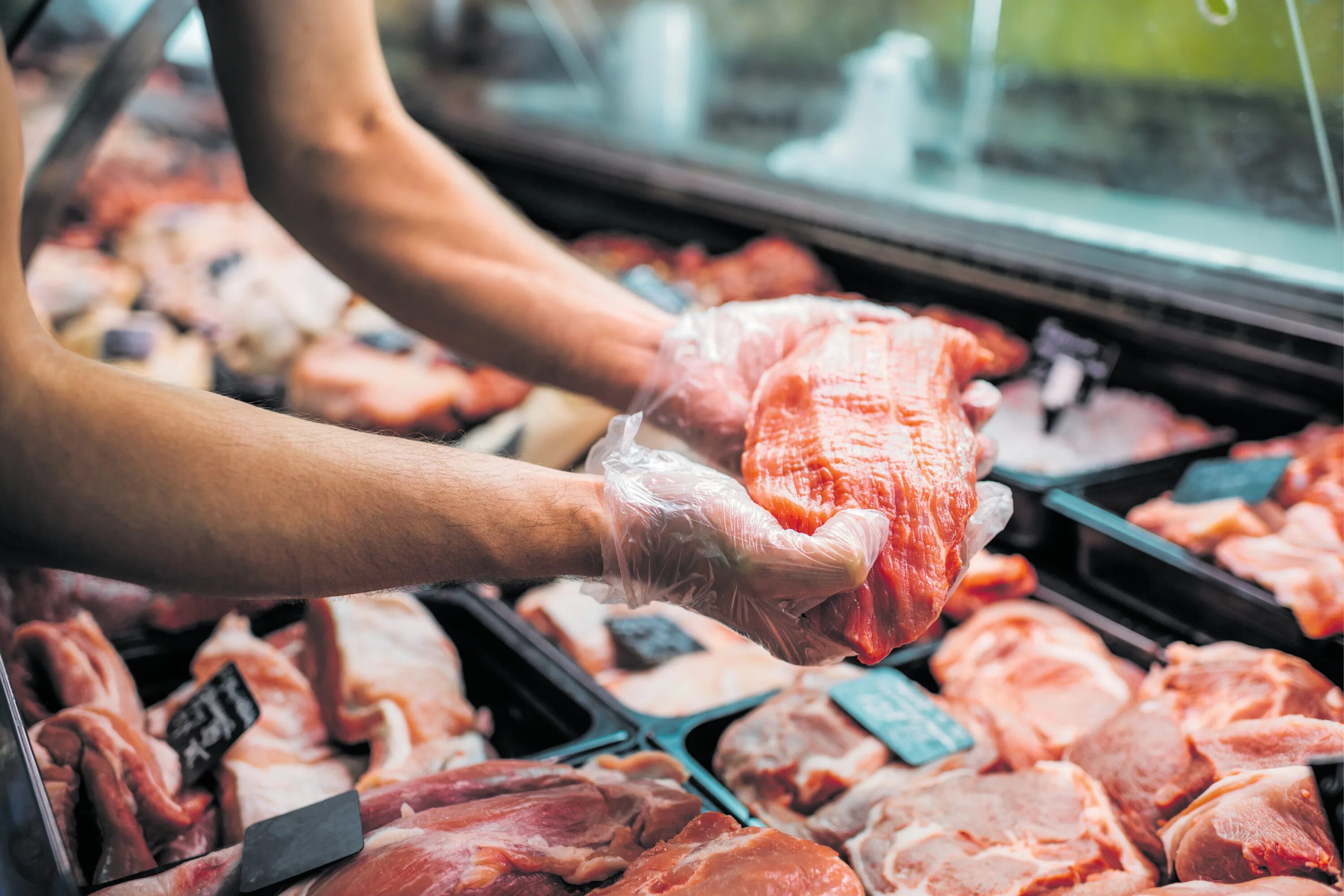 Мясная витрина выкладка. Выкладка мяса. Мясной прилавок. Мясо на прилавке. Мясо говядина.