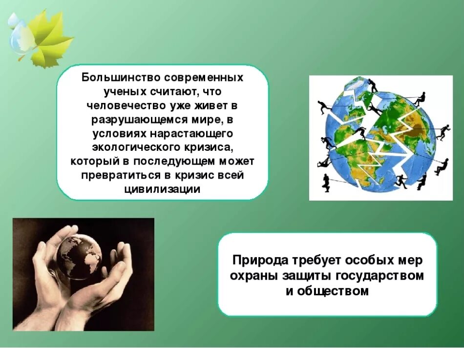 Какое значение имеет окружающая среда для каждого. Факты об охране природы. Сочинение о защите природы. Сочинение на тему сохранение природы. Факты о защите природы.