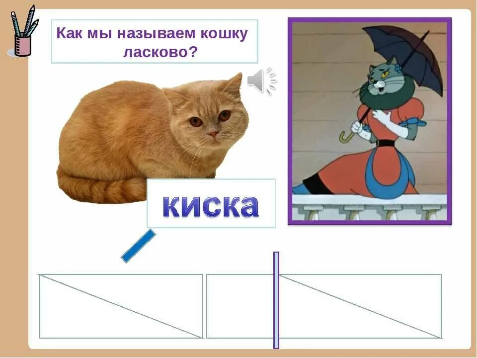 Кошка ласково как. Как кошку зовут. Как ласково назвать кошку. Как можно назвать свою кошку ласково. Почему кошку зовут кошку