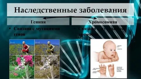 Заболевания биология 9 класс