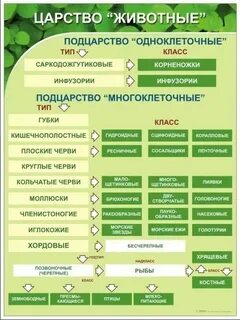 Растения биология огэ теория